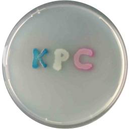 CHROMagar KPC